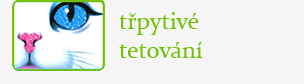 třpytivé tetování (glittry, šablony a příslušenství)